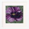 Blue Poppy