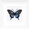 Blue Butterfly