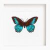 Blue Butterfly 2