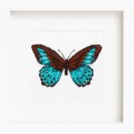 Butterfly Cross Stitch Kit Set Butterfly Cross Stitch Kit Set