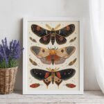 Butterfly Cross Stitch Kit