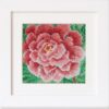 Peony