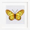 Yellow Butterfly