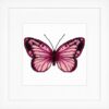 Pink Butterfly