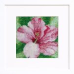 Floral Cross Stitch Kit Floral Cross Stitch Kit