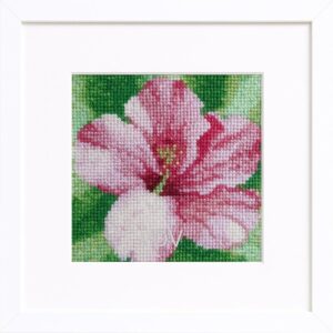 Floral Cross Stitch Kit