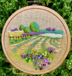 The Hayfield Embroidery Kit