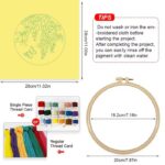 Wisteria and Butterfly Embroidery Kit