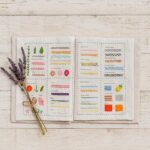 Canvas Embroidery Stitch Book Kit