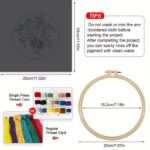 Satin Stitch Pomegranate Embroidery Kit