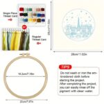 Winter Paris Embroidery Kit